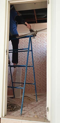 �H���ïD�-�Ѫ�O�