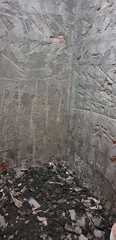 �˪F�D�Ǿ��-��Ͽj