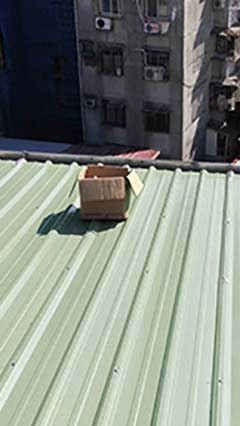 Ĭ�D���K�ηf�ؤu�{