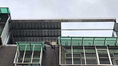 Ĭ�D���K�ηf�ؤu�{