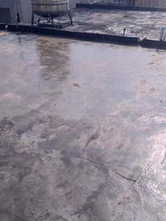 �y���G�˫γ�����