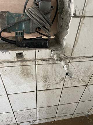 �y���V�s�