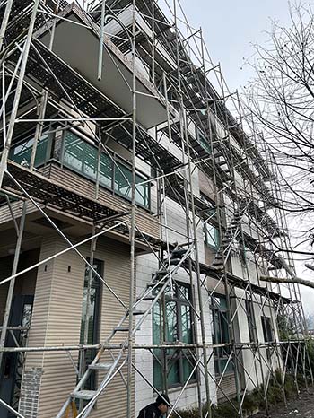 �y���T�P�