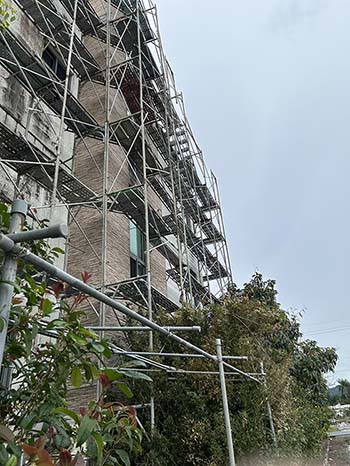 �y���T�P�