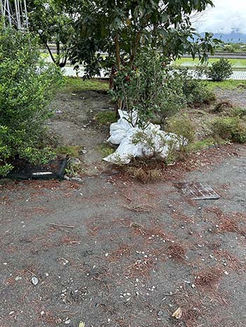 �y���T�P�