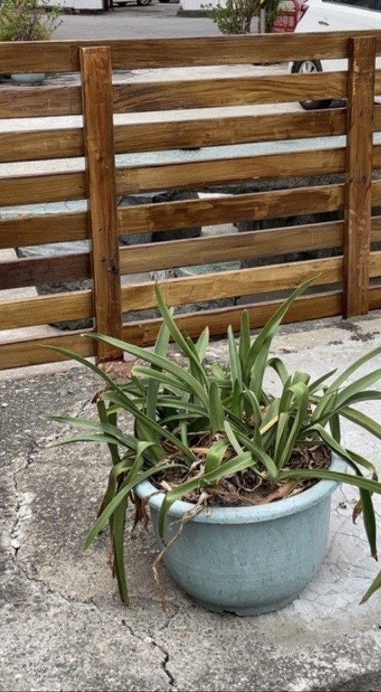 �y���-�����q�Ǥp����