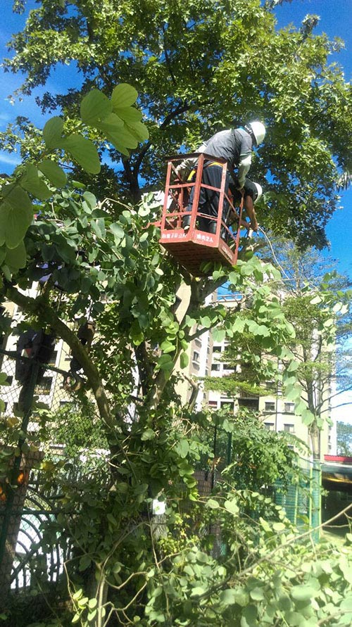 台南歸仁區吊車