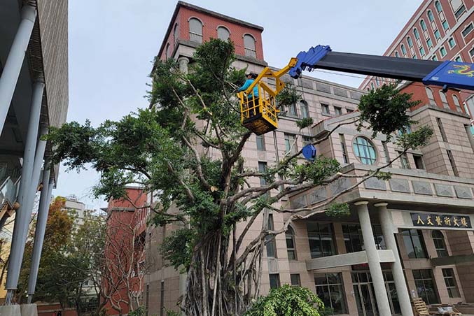 台南新市吊車-樹木修剪