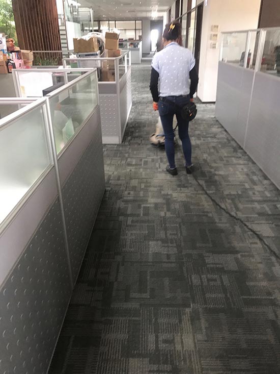 �x������Ͽ줽�ǲM�䥴��