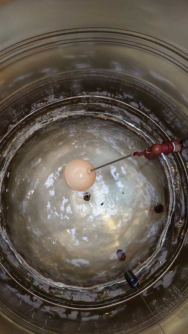 �x���~����