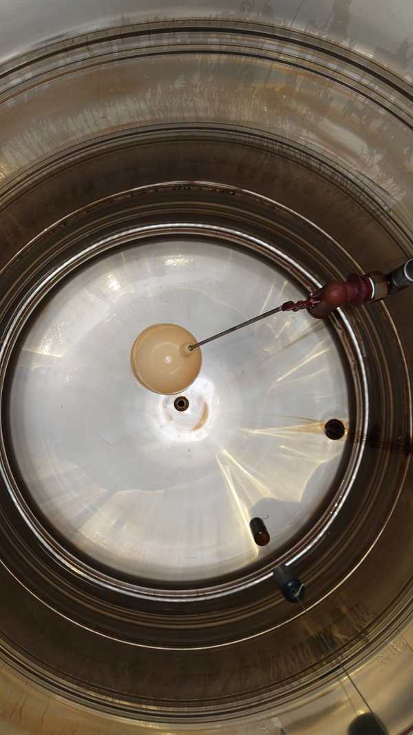 �x���~����