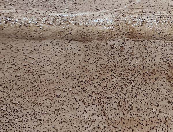 �x���~����