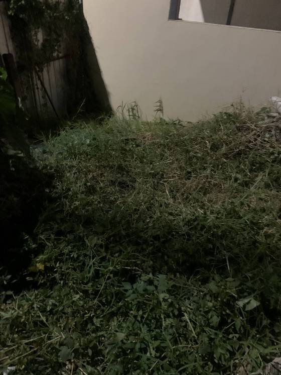 �x���_�ٰϳί�