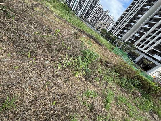 �x���M���ί�