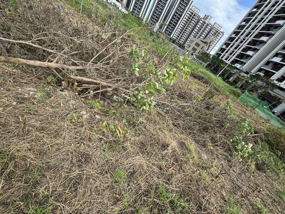 �x���M���ί�