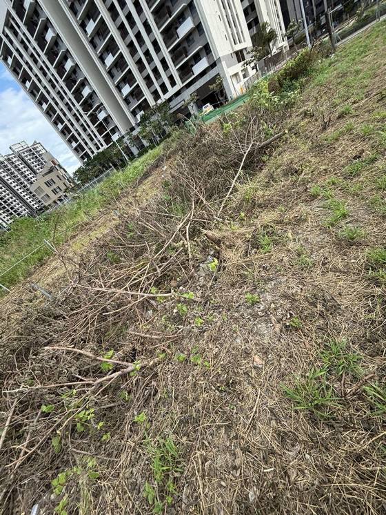 �x���M���ί�