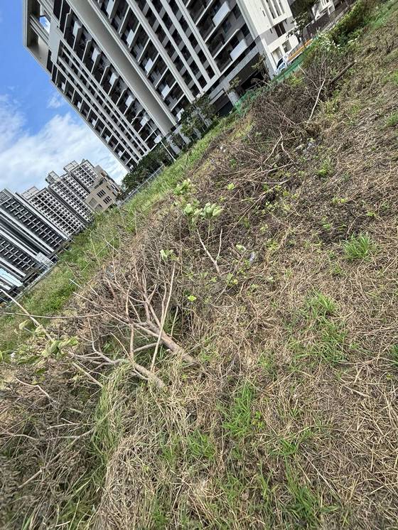 �x���M���ί�