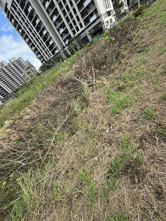 �x���M���ί�