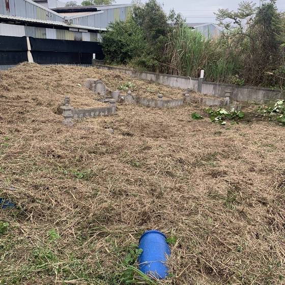 �x���s�����ӳί�