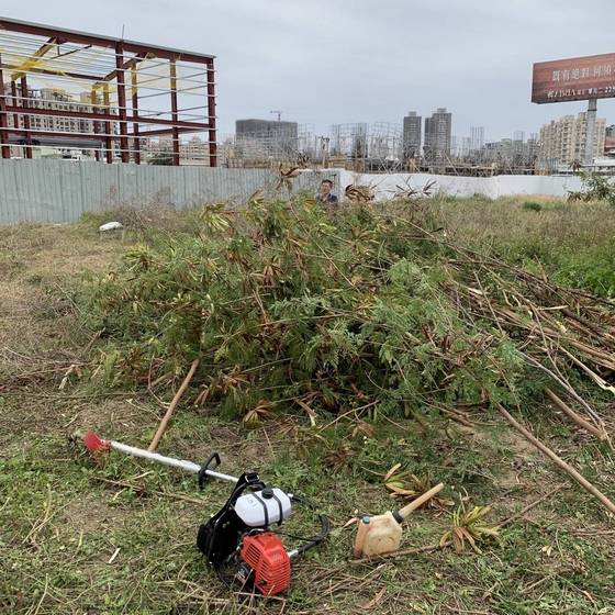 �x�����ί�