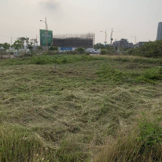 �x�����ί�