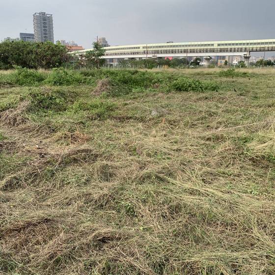 �x�����ί�