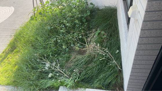 �x���F���ί�