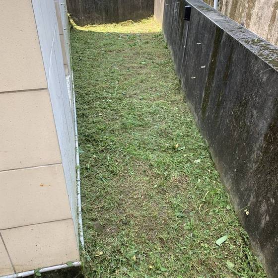 �x���M���ϳί�