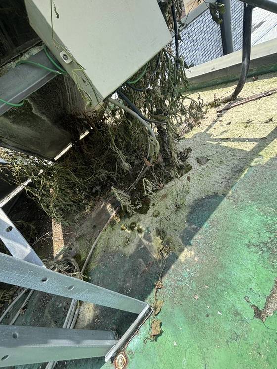 �x���ӥ��ϰ���