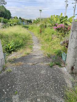 ���p�ϳί�