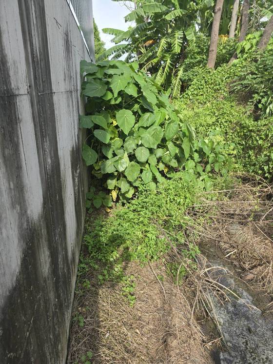 ���Ʒ˴�ί�