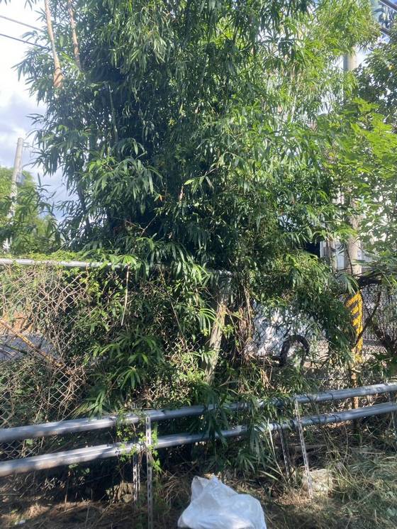 �x�������ί�