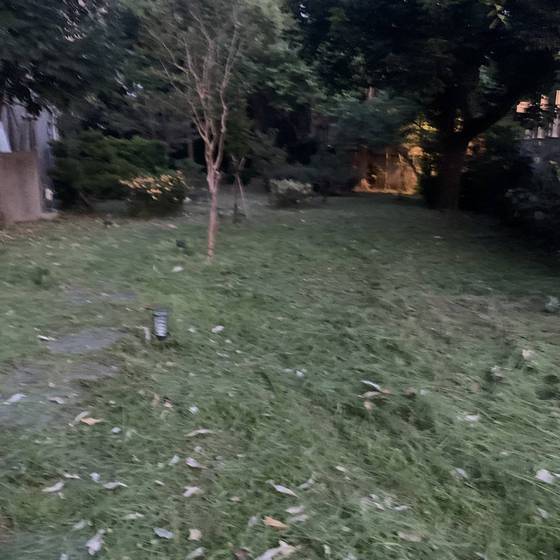 �x���F���ί�