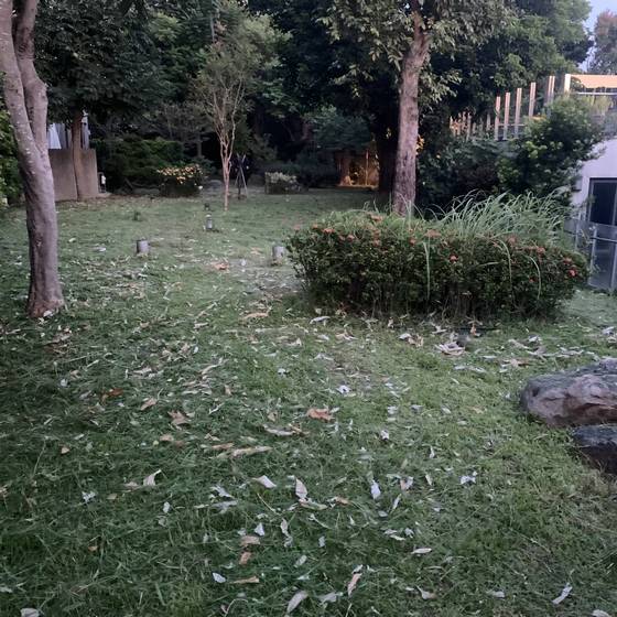 �x���F���ί�