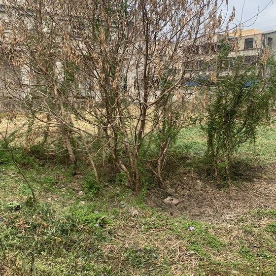 �x����ϳί�