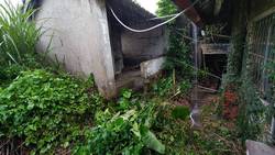 �x���׭�ί�