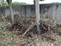 �x���׭�ί�