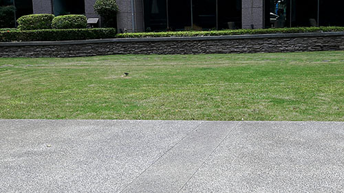 �x���n�ٰ���,�x���n�ٳί�