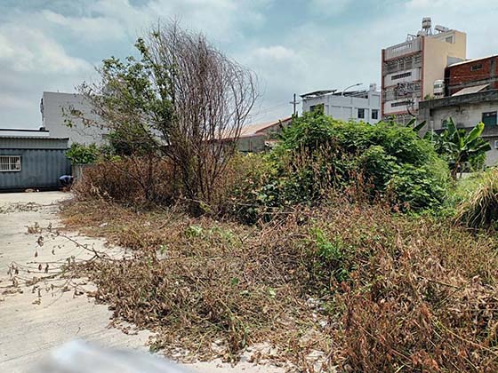 彰化割草埤頭 7-11超商旁雜草清除