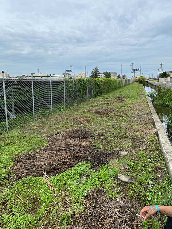 彰化割草鹿港水圳旁割草清除小型灌木