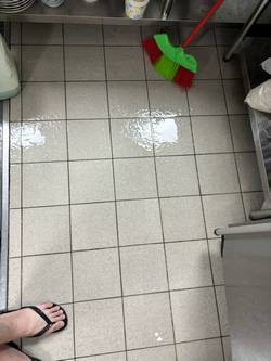 �s�˻E�� �V���Ʋz �p�Ъo���M��