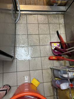 �s�˻E�� �V���Ʋz �p�Ъo���M��