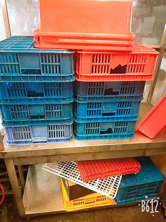 �x���j�������M��