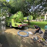 �����q����