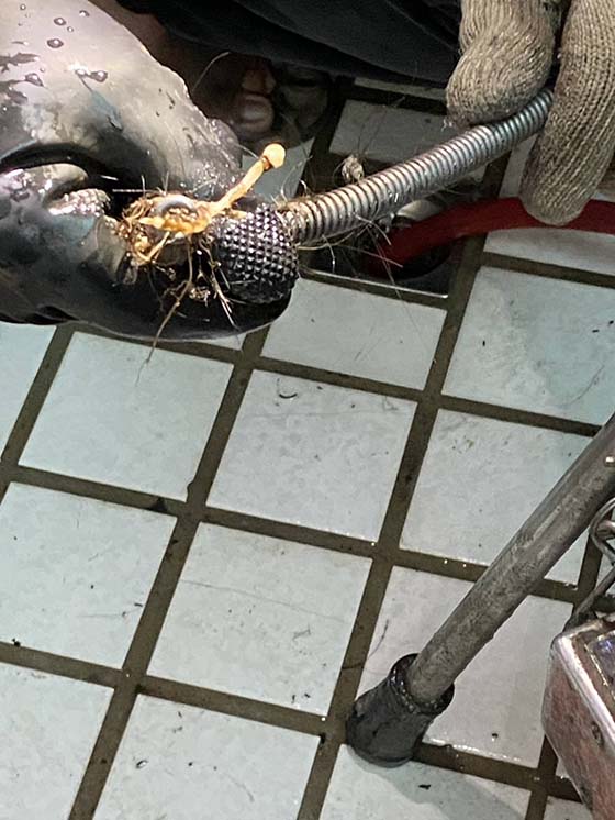 �n�뤤�d�q����