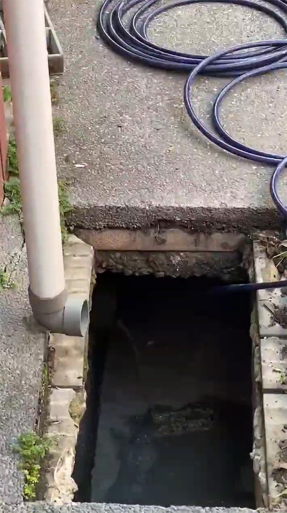 ��m�m���M�q����