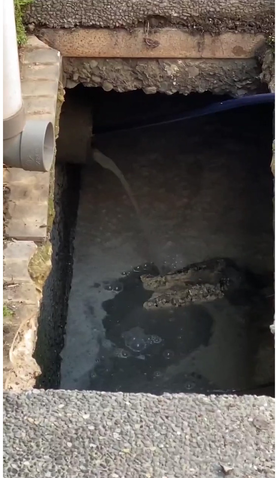 ��m�m���M�q����