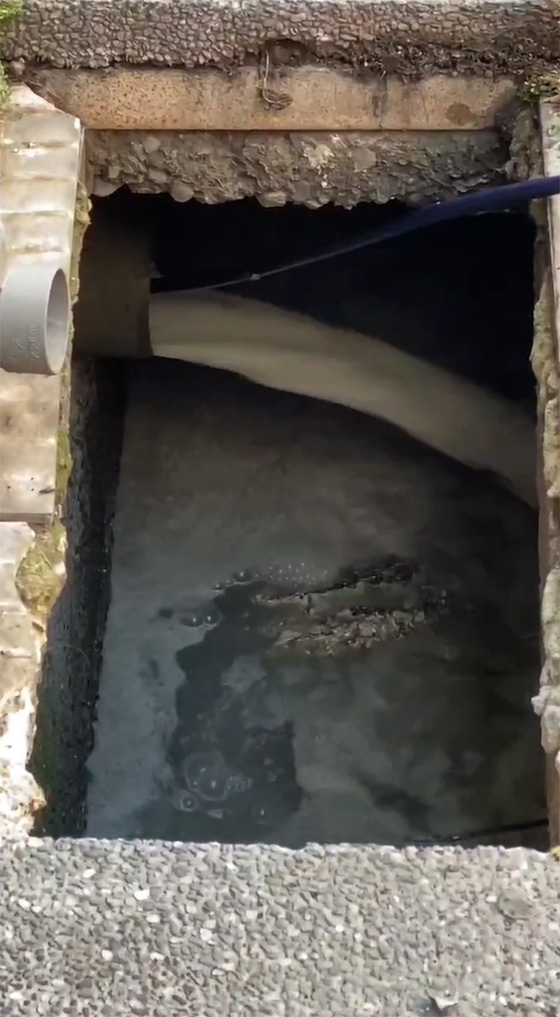 ��m�m���M�q����