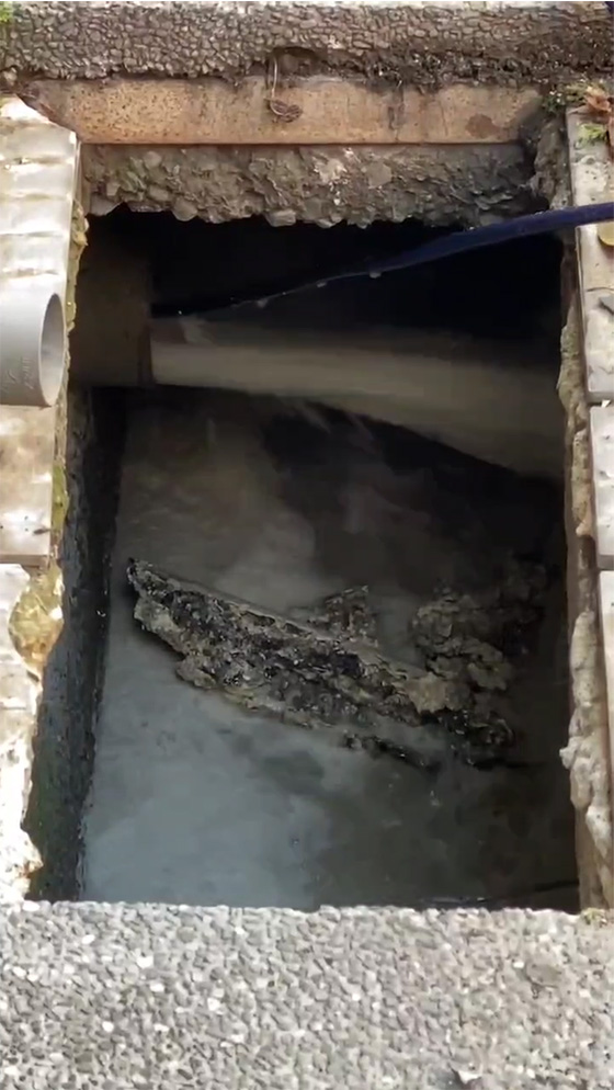 ��m�m���M�q����