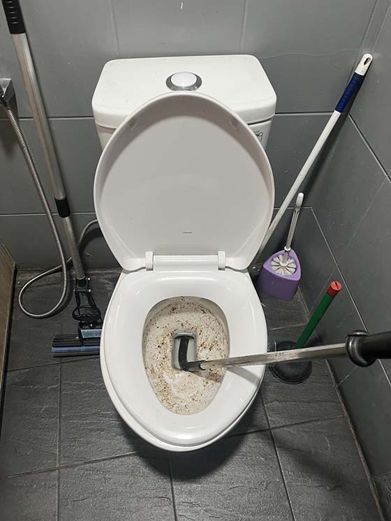 �ˤs���q����